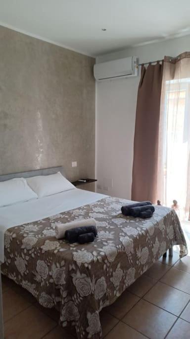 House Guest house
